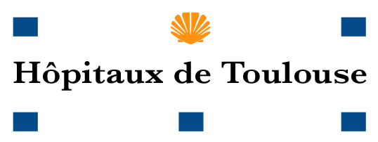site intranet chu toulouse - https webmail chu toulouse