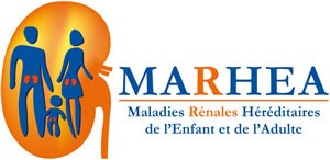 Journée Scientifique du CRMR MARHEA sur le Syndrome d'Alport @ Institut Imagine | Paris | Île-de-France | France