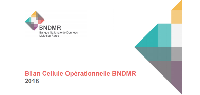 BNDMR : Rapport d’activité 2018 et orientations 2019