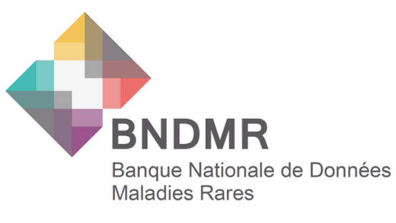 BNDMR – Rapport sur le nombre de cas par maladie rare – Nov 2023