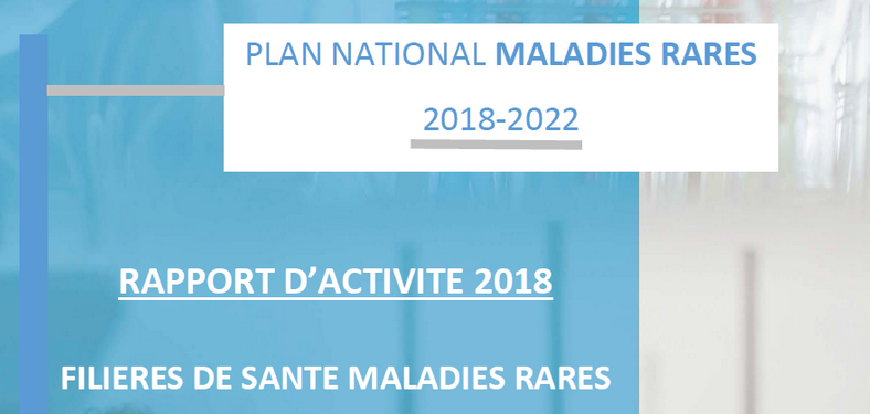 Filières de santé maladies rares : rapport d’activités 2018