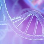L’AIRG-France lance un appel à projets de recherche sur les maladies rénales génétiques