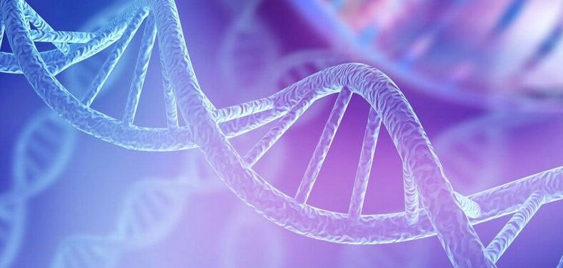 L’AIRG-France lance un appel à projets de recherche sur les maladies rénales génétiques