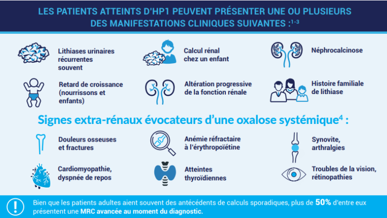 Hyperoxalurie :  dépistage et traitement