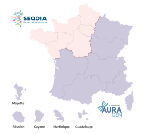 carte seqoia auragen