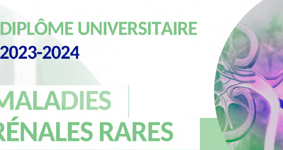 DU MALADIES RÉNALES RARES : nouvelle édition 2023-2024
