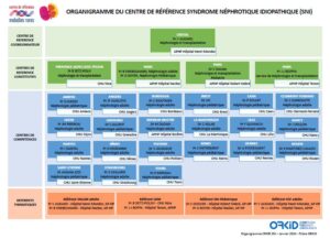 Organigramme CRMR-SNI 2024