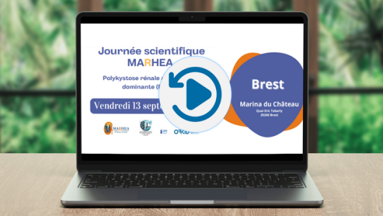 Retour en images sur la Journée Scientifique MARHEA 2024 à Brest