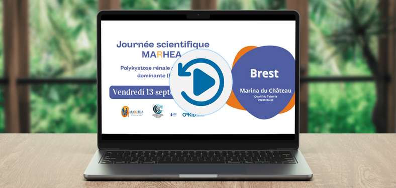Retour en images sur la Journée Scientifique MARHEA 2024 à Brest