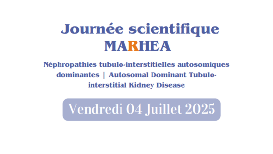 Retour sur la Journée Scientifique MARHEA 2025