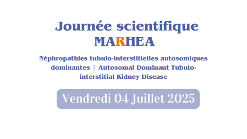 Retour sur la Journée Scientifique MARHEA 2025