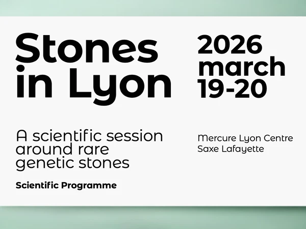 Stone in Lyon 2026 : Save the date!