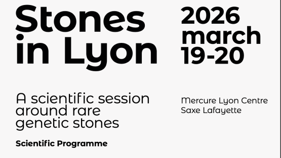 Stone in Lyon 2026 : Save the date!