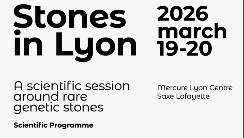 Stone in Lyon 2026 : Save the date!