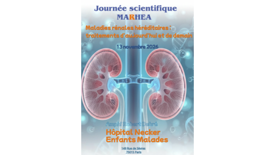 Save the date : Journée Scientifique MARHEA 2026